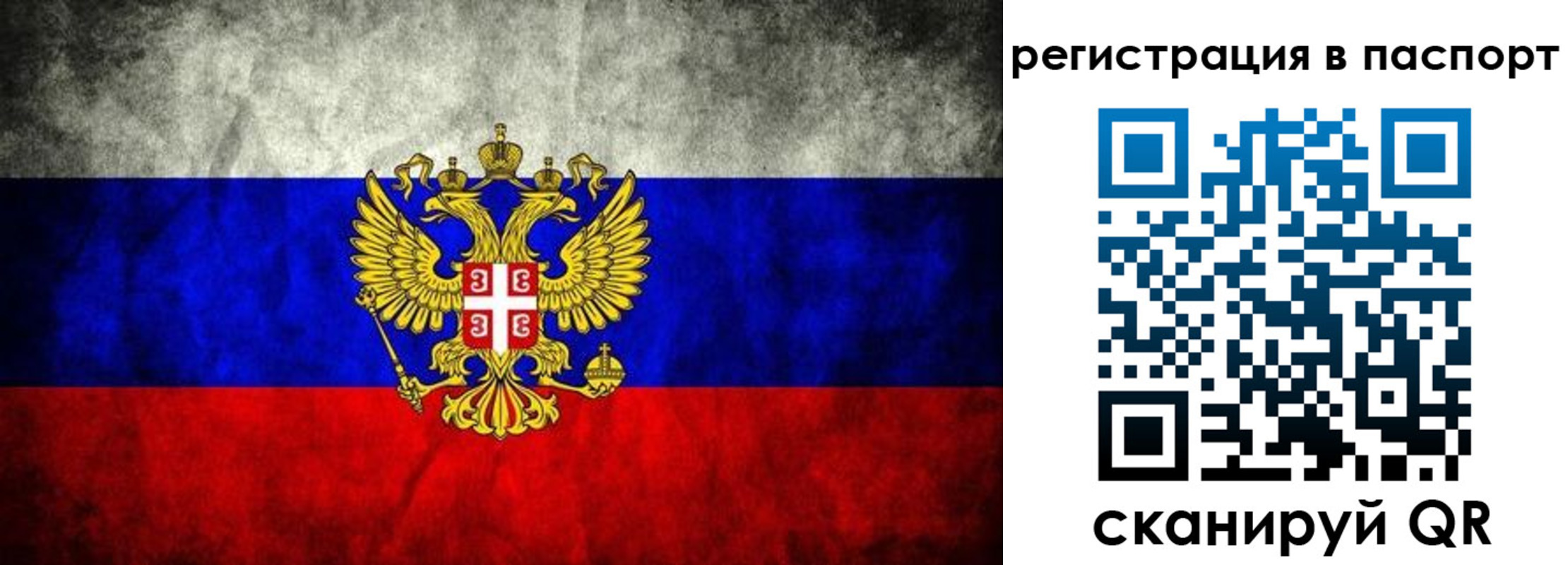 временная регистрация купить в Ярославской области